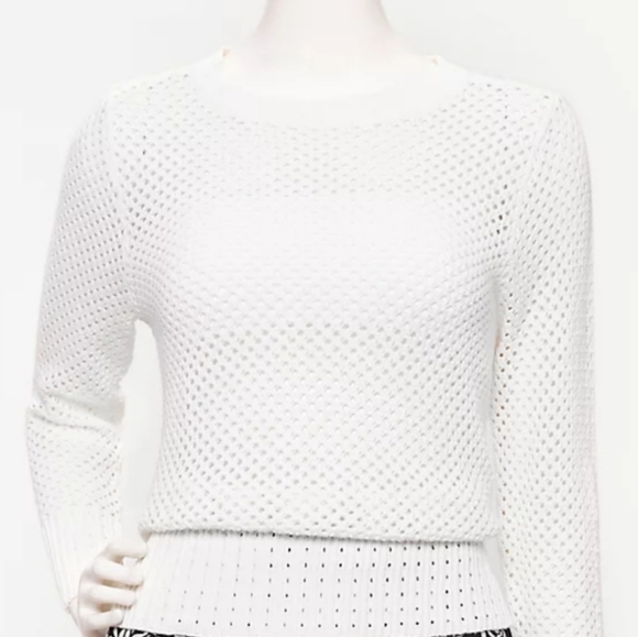 NWT LOFT Pointelle Sweater - Picture 1 of 5